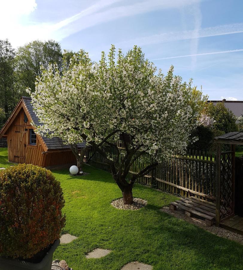 Haus Ilsegarten Ilsenburg Eksteriør billede